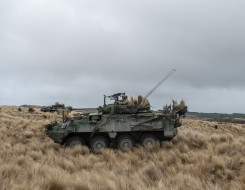 A New Zealand Army Light Armoured Vehicle (NZLAV) in tussock grass, another NZLAV in the background.  