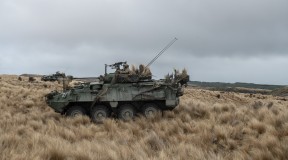 A New Zealand Army Light Armoured Vehicle (NZLAV) in tussock grass, another NZLAV in the background.  