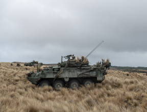 A New Zealand Army Light Armoured Vehicle (NZLAV) in tussock grass, another NZLAV in the background.  