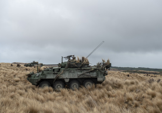 A New Zealand Army Light Armoured Vehicle (NZLAV) in tussock grass, another NZLAV in the background.  