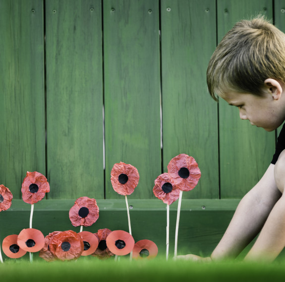 A young child places some handcrafted poppy flowers next to a green fence. 