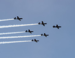 The Royal New Zealand Air Force Black Falcons fly in formation (five T-6C Texan II aircraft). The sky is blue.