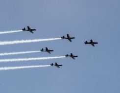 The Royal New Zealand Air Force Black Falcons fly in formation (five T-6C Texan II aircraft). The sky is blue.