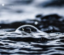 AdobeStock 254104420