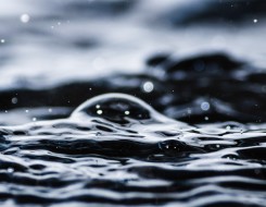 AdobeStock 254104420