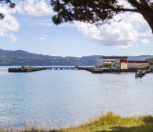 A wharf and buildings framed by trees stick out into Wellington harbour. Clouds and blue sky reflect on the calm water.