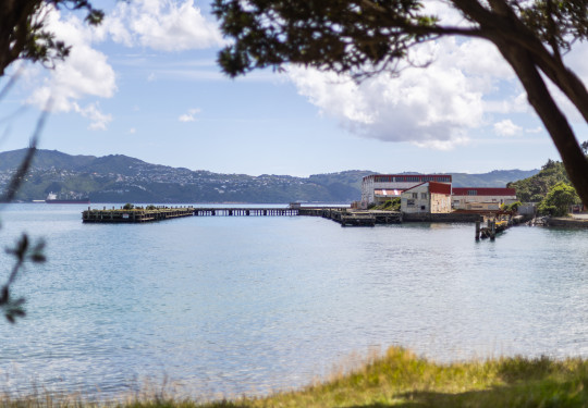A wharf and buildings framed by trees stick out into Wellington harbour. Clouds and blue sky reflect on the calm water.
