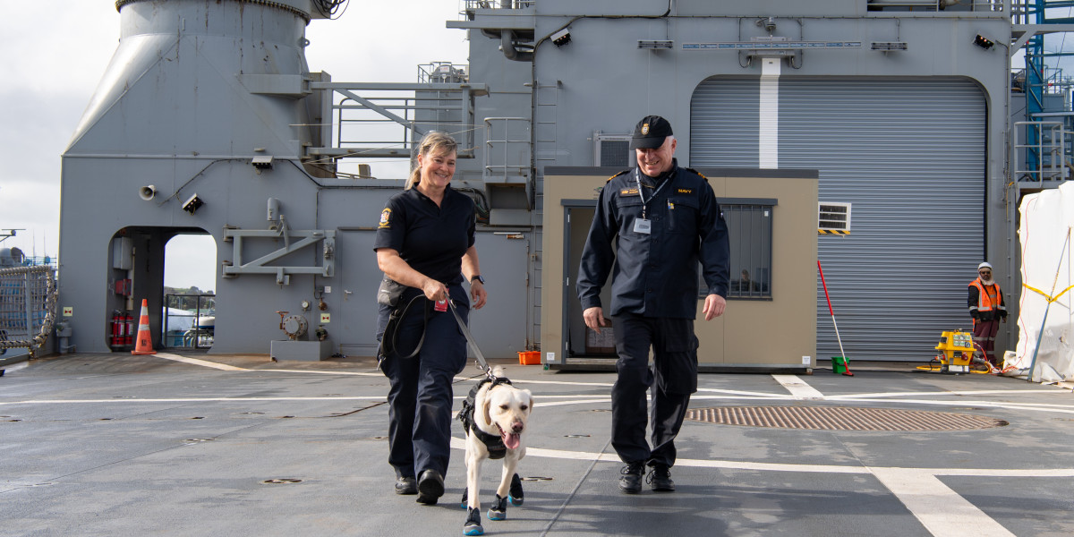 Custom dogs get freedom to sniff thanks to Navy New Zealand Defence Force