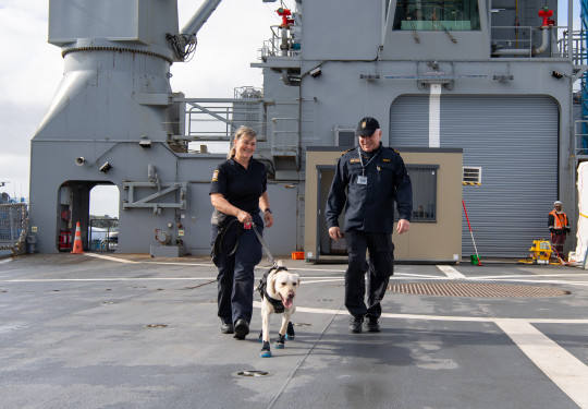 Dog Handler Cheryl with Kiwa from New Zealand Customs Service’s detector dog training with Lieutenant Commander Rob Badger at Devonport Naval Base.