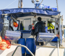 20250520 NZDF C1033116 030