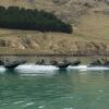 20260928 NZDF F1074933 034