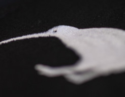 NZDF Kiwi
