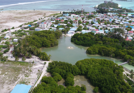 Huraa Island mangroves provide natural protection against flooding and tsunamis as well as breeding and nesting areas for birds