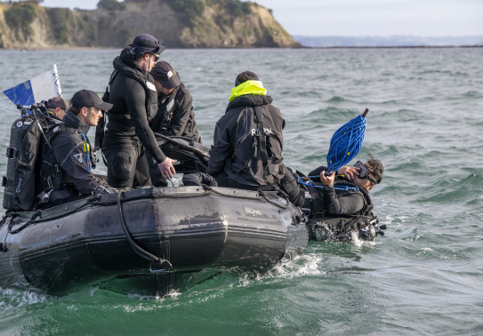 A diver from HMNZS Matataua leaves a Zodiac, a small boat. Five other sailors and divers remain in the boat.