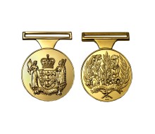 NZ Special Service Medal   Ukraine