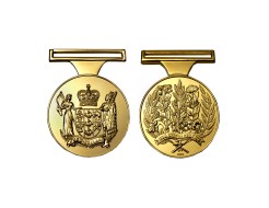 NZ Special Service Medal   Ukraine