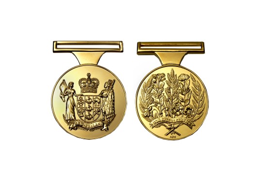 NZ Special Service Medal   Ukraine