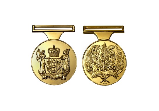 NZ Special Service Medal   Ukraine