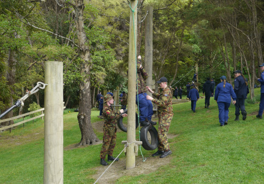 NZCF 1