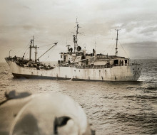 Petley 3