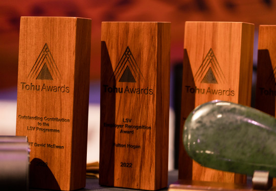 Multiple wooden rectangle awards sit on a table, engraved on them are triangles and the category of the award.