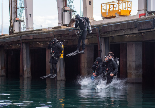 Four divers jump into the water from the wharf at the Port of Tauranga. They are all wearing full dive apparatus, including wet suits, tanks and fins.