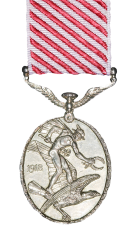 The Air Force Medal Reverse