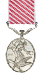 The Air Force Medal Reverse