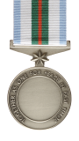 The International Force East Timor Medal Reverse