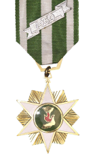 The South Vietnamese Campaign Medal