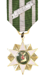 The South Vietnamese Campaign Medal