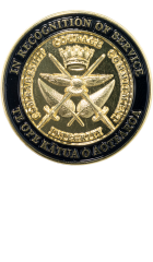 Civilian Recognition of Service - Gold