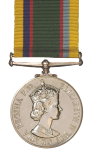 The Cadet Forces Medal Obverse