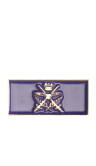 Chief of Defence Force Commendation