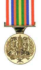 The New Zealand Special Service Medal (Asian Tsunami) Reverse