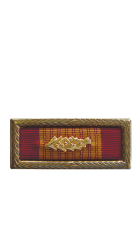 The Republic of Vietnam Cross of Gallantry with Palm Presidential Unit Citation