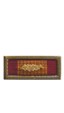 The Republic of Vietnam Cross of Gallantry with Palm Presidential Unit Citation