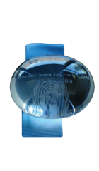 The Dag Hammarskjöld Medal