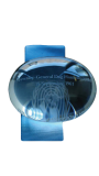 The Dag Hammarskjöld Medal