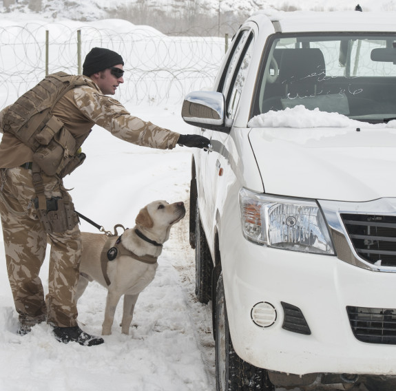 Yardley on duty in Afghanistan, March 2013, with handler LCPL Regan Blogg.