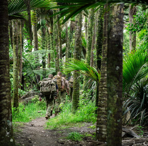 Soldiers trek in military gear with packs. A beach-like forest landscape surrounds them with trees stretching far up above.