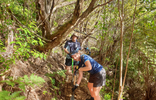 Royal New Zealand Air Force personnel in the bush, digging. The two personnel are in Air Force branded tshirts. 