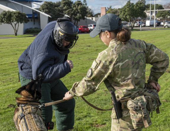 MWD Dave bites the protective bite suit being worn by Ohakea’s Base Commander, Group Captain Rob Shearer.