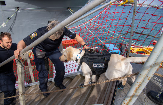 Dog Handler Cheryl with Kiwa from New Zealand Customs Service’s detector dog training