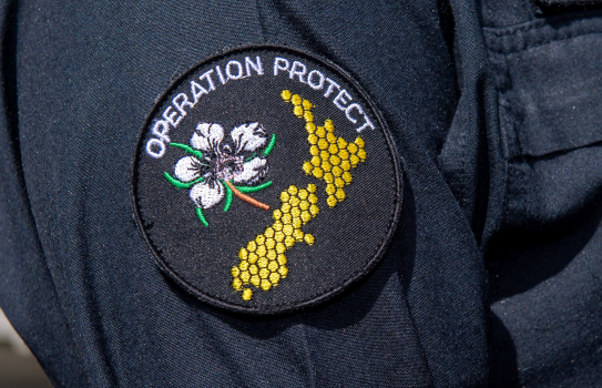 A close up of the New Zealand Defence Force Operation Protect badge which features a manuka flower and honey comb in the shape of Aotearoa New Zealand.