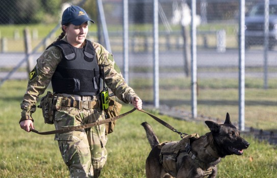 3. RNZAF Operations Squadron