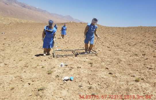OMAR Located and destroyed 1055 items of unexploded ordnance/explosive remnants of war