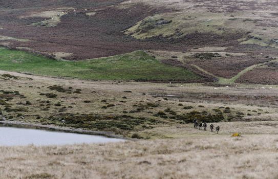 The NZ Army’s 2nd Engineer Regiment in action in Brecon Beacons during the 2015 Cambrian Patrol when the team earned a gold medal. Soldiers walk to the right of the image on grass area. 