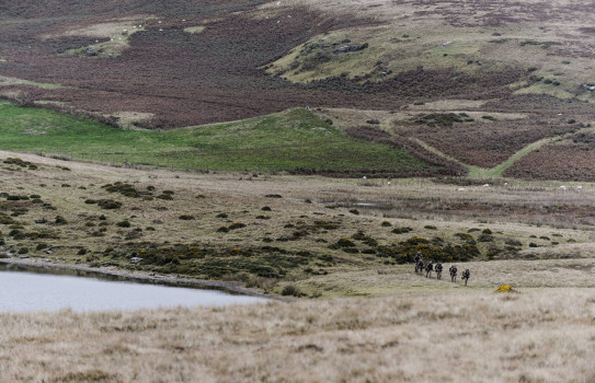 The NZ Army’s 2nd Engineer Regiment in action in Brecon Beacons during the 2015 Cambrian Patrol when the team earned a gold medal. Soldiers walk to the right of the image on grass area.
