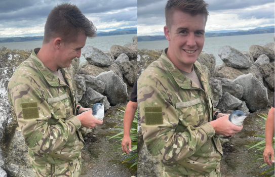 Corporal Torquil McLeod-Jones during his blue penguin encounter